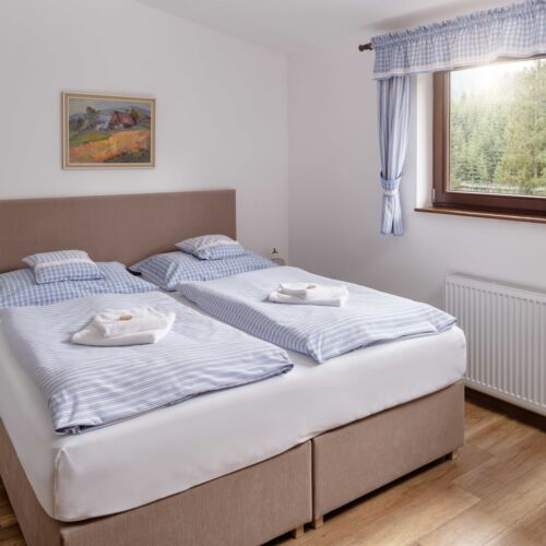 Pokój 2-osobowy Deluxe z prysznicem (możliwa dostawka)