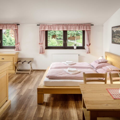 Pokoj se sprchou  pro 4 os.