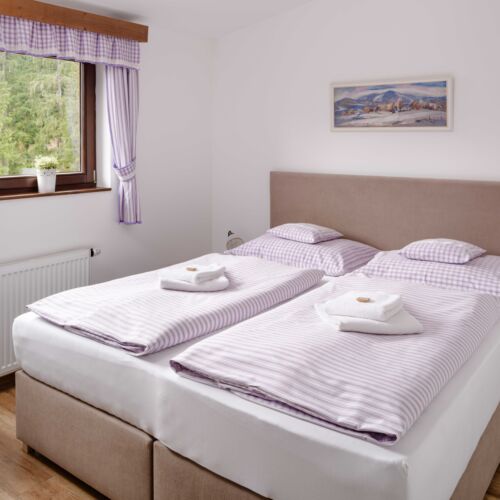 Pokój 2-osobowy Deluxe z prysznicem (możliwa dostawka)