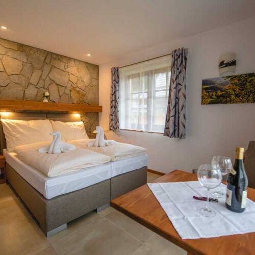 Superior Pokoj se sprchou pro 2 os.