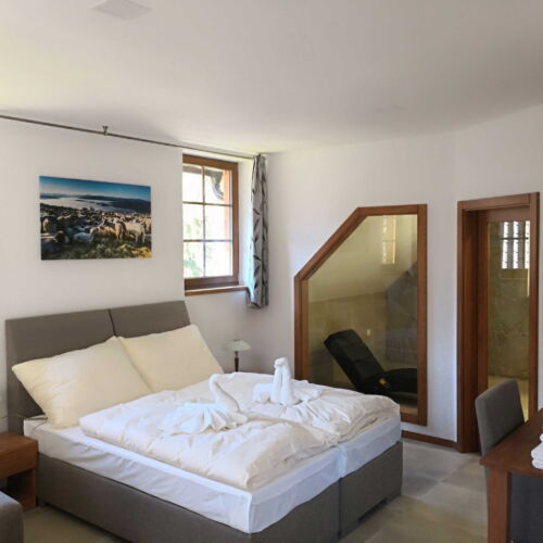 Superior Pokoj se sprchou pro 2 os.