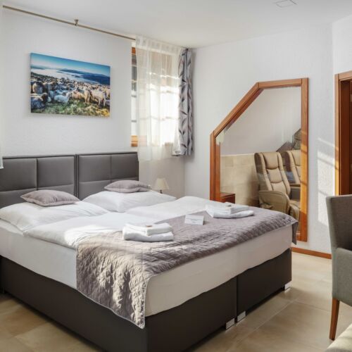 Pokój 2-osobowy Superior z prysznicem