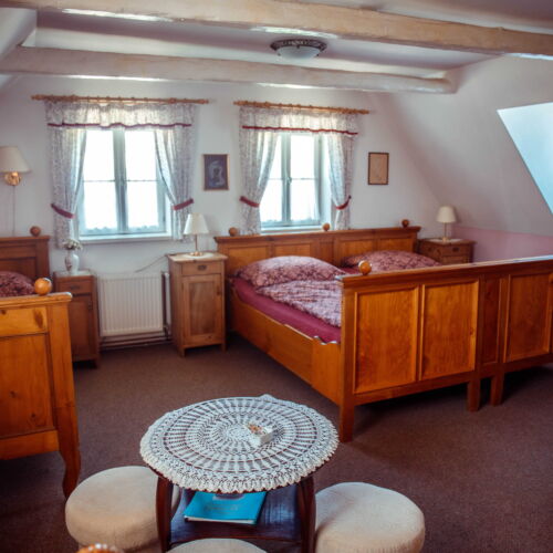 Pokoj se sprchou  pro 4 os.