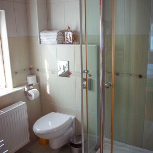 Pokoj se sprchou  pro 2 os.