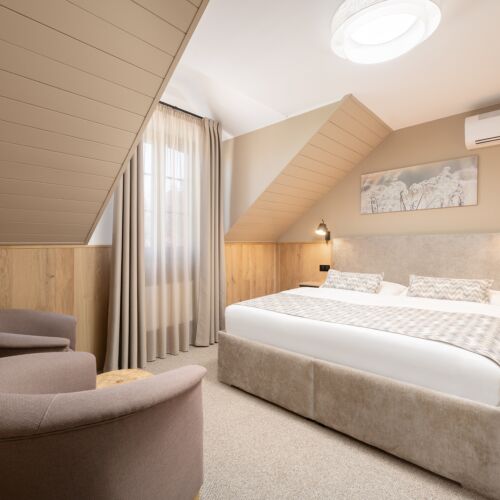 Deluxe Pokoj se sprchou pro 4 os.