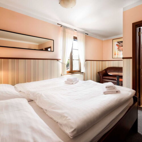 Pokoj s klimatizací se sprchou s manželskou postelí (s možností přistýlky)