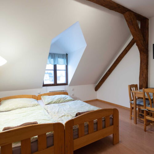 Camera twin cu duș cu chicinetă comună (se poate solicita pat suplimentar)