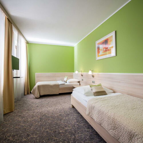 Standard Pokoj se sprchou pro 2 os.