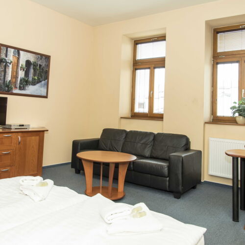 Apartament 2-osobowy Studio z 1 pomieszczeniem sypialnianym