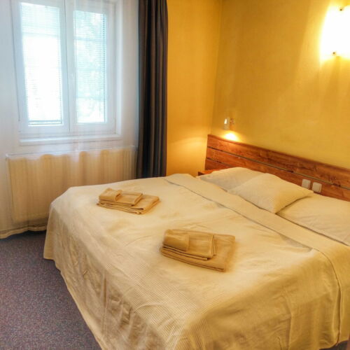 Twin Room with Shower (extra beds available)