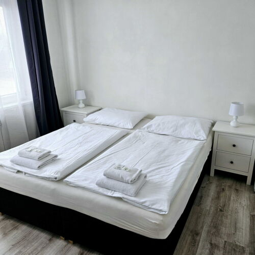 Economy Pokoj se sprchou pro 1 os.