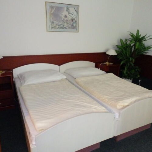 Pokoj se sprchou  pro 3 os.