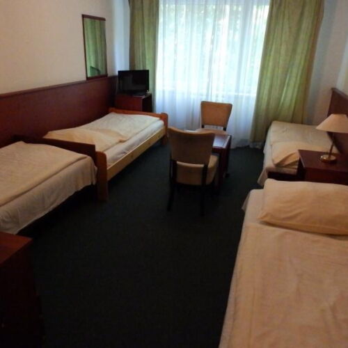 Pokoj se sprchou  pro 4 os.