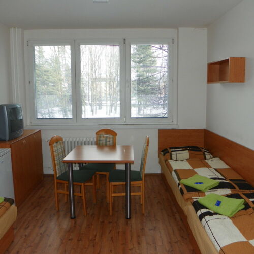 Camera twin standard cu duș (se poate solicita pat suplimentar)