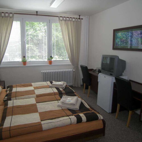 Camera dubla standard Plus cu duș