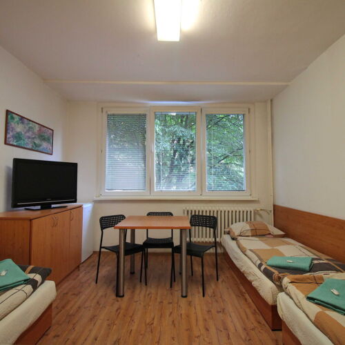 Camera tripla economy cu duș