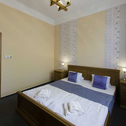 Pokoj se sprchou  s manželskou postelí