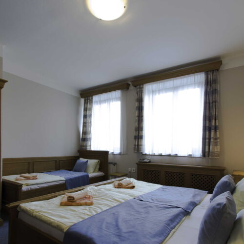 Pokoj se sprchou  pro 3 os.