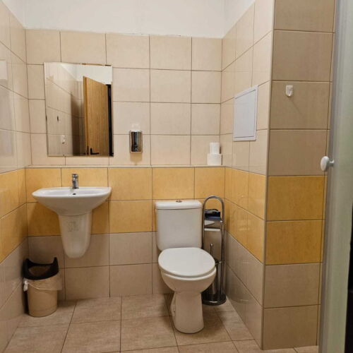 Camera twin cu duș tV cu ecran plat (se poate solicita pat suplimentar)