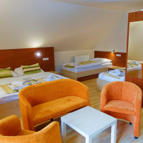 Pokoj s klimatizací se sprchou pro 4 os. (s možností přistýlky)