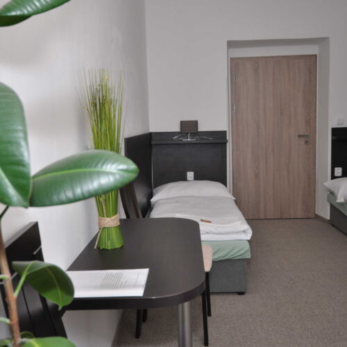 Camera twin standard cu baie