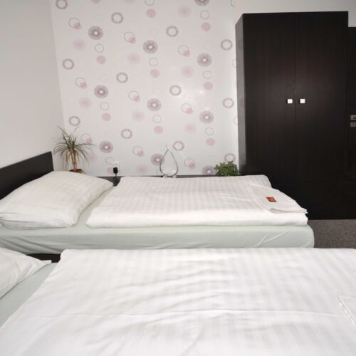 Camera twin la mansardă cu baie