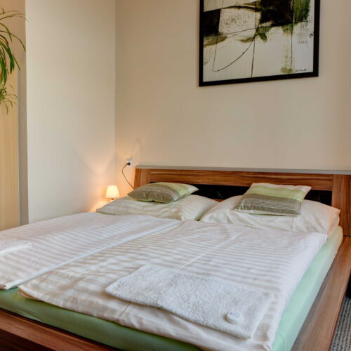 Camera tripla cu aer condiționat cu duș