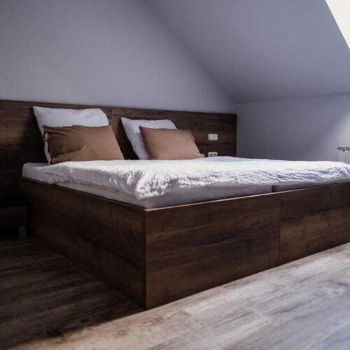 Camera twin cu duș (se poate solicita pat suplimentar)