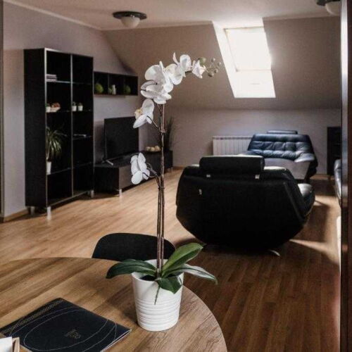 Apartament cu duș cu chicinetă proprie pentru 2 pers. (se poate solicita pat suplimentar)