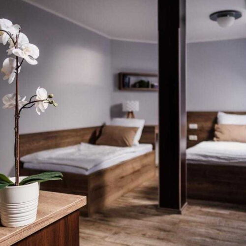 Camera tripla cu duș (se poate solicita pat suplimentar)