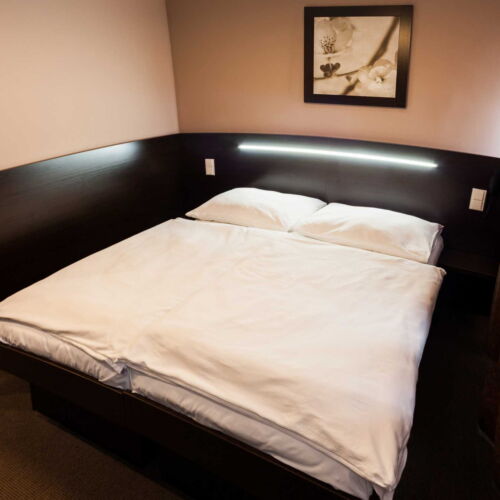 Economy Pokoj se sprchou pro 1 os.