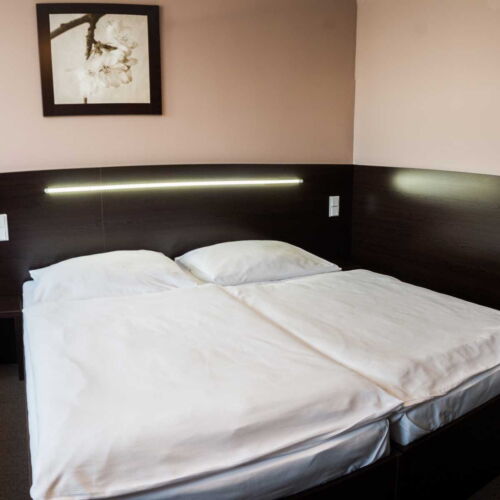 Economy Pokoj se sprchou pro 3 os.