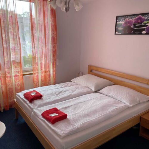 Pokoj se sprchou s klimatizací pro 2 os.