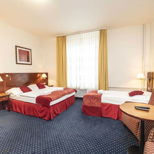 Standard Double Room with Shower (extra bed available)