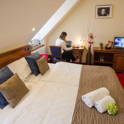 Air Conditioned Twin Room with Shower
