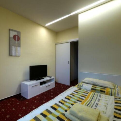 Camera single cu duș cu chicinetă comună