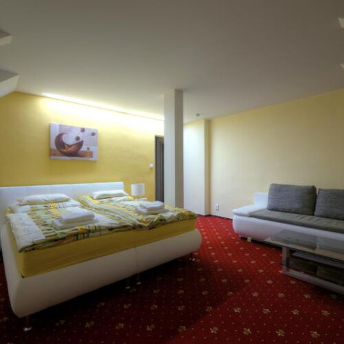 Camera twin cu duș cu chicinetă proprie