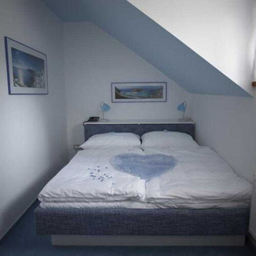 Camera twin cu duș cu aer condiționat (se poate solicita pat suplimentar)