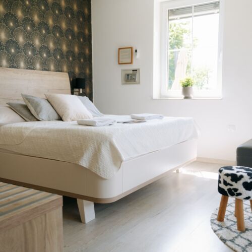 Camera tripla cu aer condiționat cu duș (se poate solicita pat suplimentar)