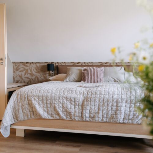 Camera dubla cu aer condiționat cu duș