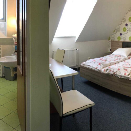 Pokoj s klimatizací se sprchou s manželskou postelí