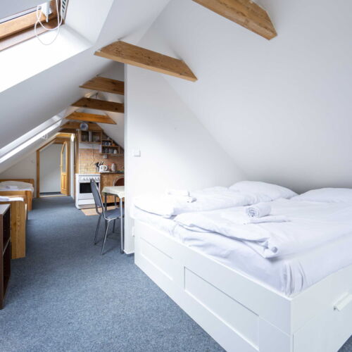 Apartament cu balcon cu chicinetă proprie cu 1 camera pentru 4 pers. (se poate solicita pat suplimentar)