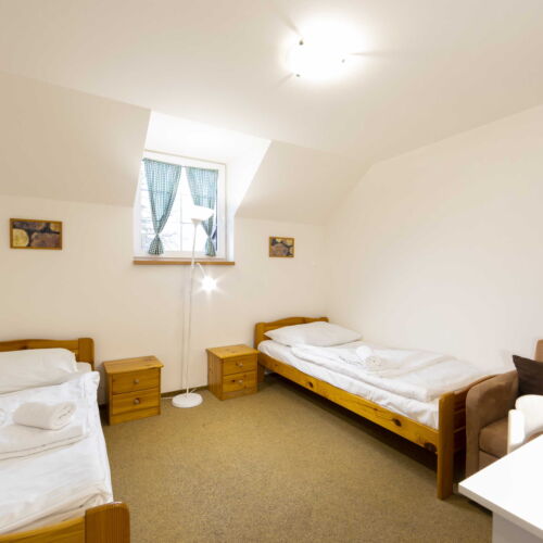 Camera twin cu duș (se poate solicita pat suplimentar)