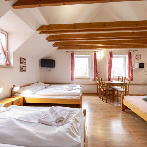 Apartament cu duș cu chicinetă proprie cu 1 camera pentru 4 pers. (se poate solicita pat suplimentar)