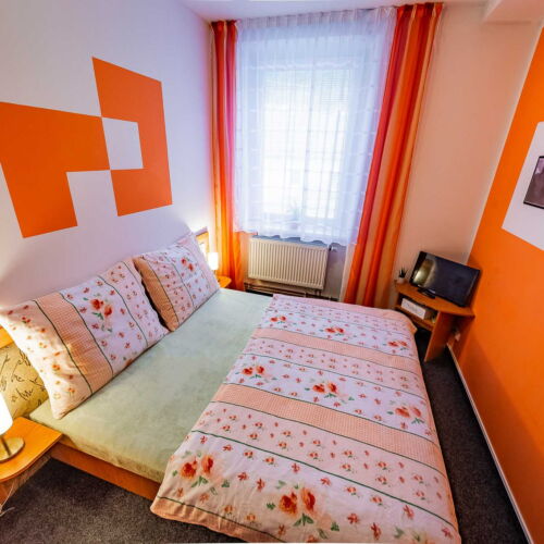 Pokoj s koupelnou se sprchou s manželskou postelí (s možností přistýlky)