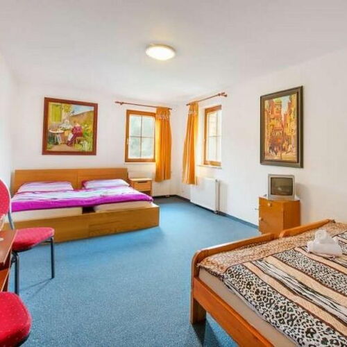 Pokoj se sprchou  pro 4 os.