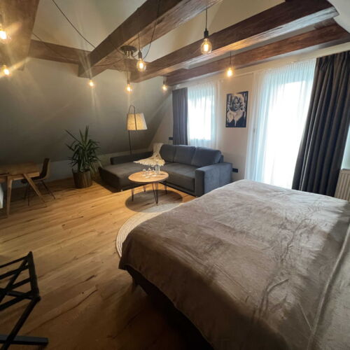 Pokoj se sprchou s vlastní kuchyňkou pro 2 os. (s možností přistýlky)