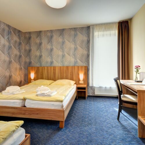 Standard Pokoj se sprchou pro 3 os.