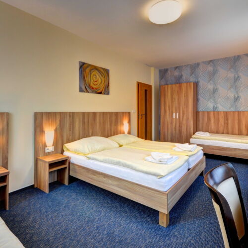 Standard Pokoj se sprchou pro 4 os.