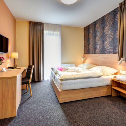 Superior Pokoj se sprchou pro 2 os.